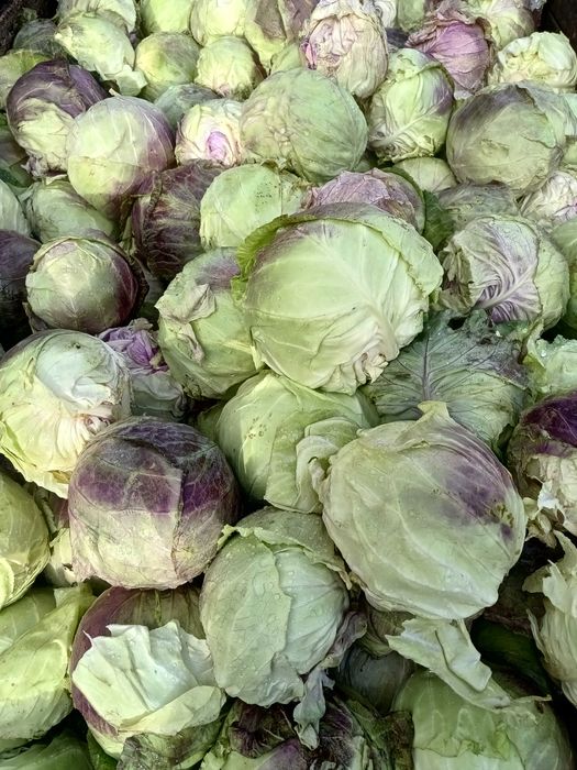 Зеле - перфектно за бидон