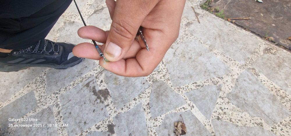 Daiwa Emerald + Daiwa infinity q3000