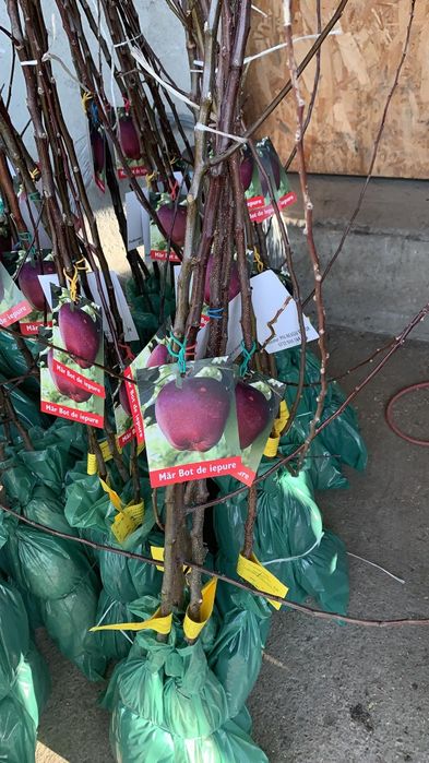 Pomi si vita de vie ambalată