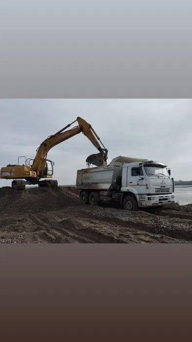 Клинец Кампот Кум Чиноз Аптималка  йетказиб берамиз
