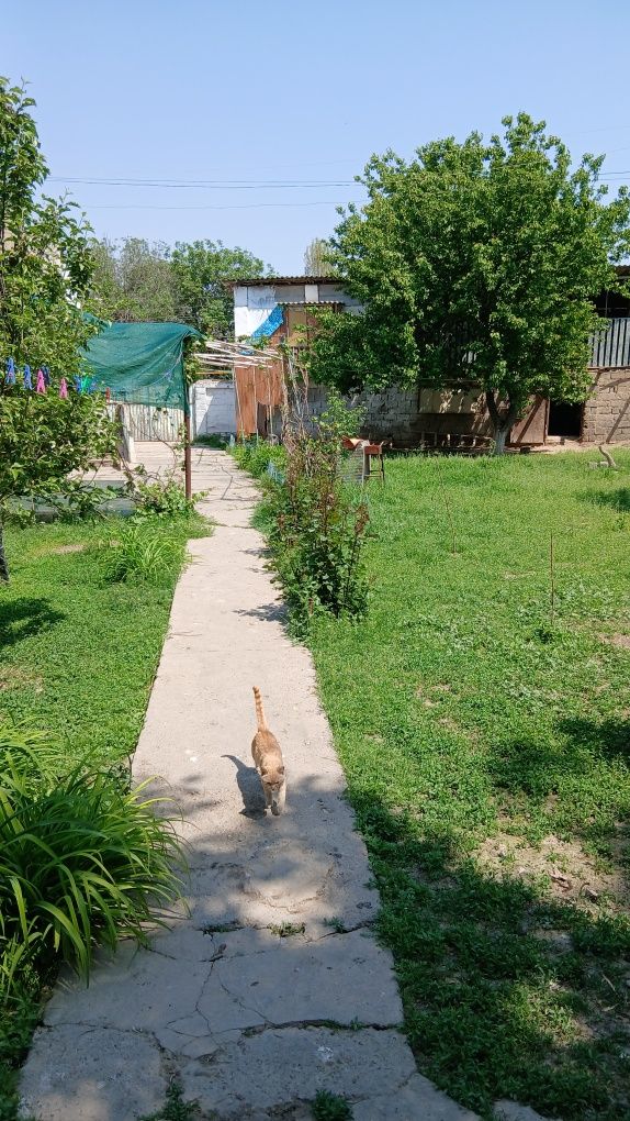 Продаётся котедж