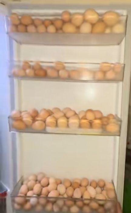 Тауық жумырткасы сатылады