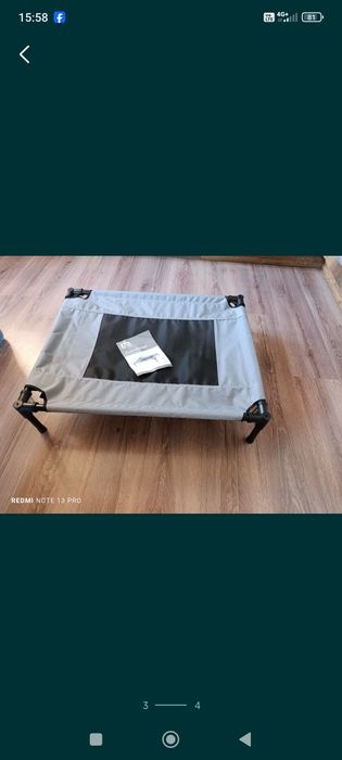 легло за куче и котка