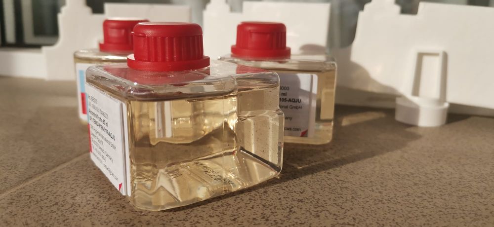 Odorizant Parfum CWS Frutto - Guma Turbo Auto / Camera 100% Original