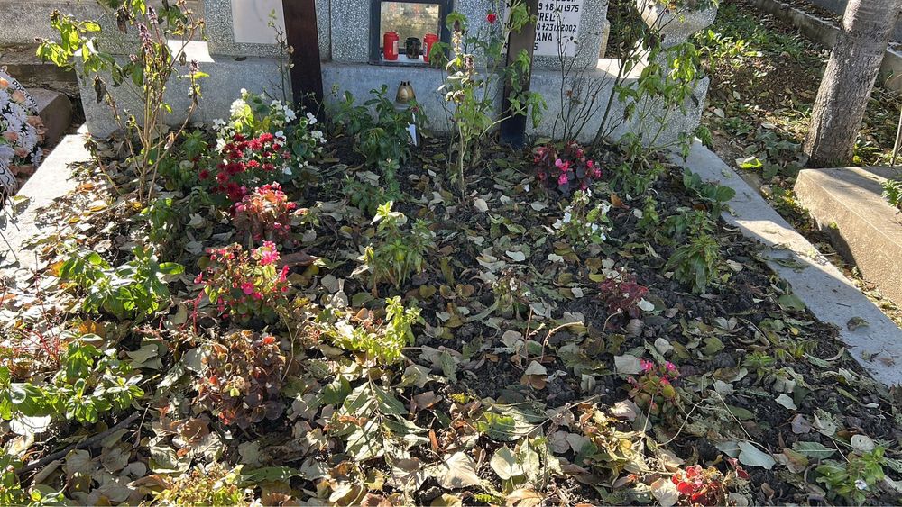 Servicii îngrijire morminte Iași și împrejurimi