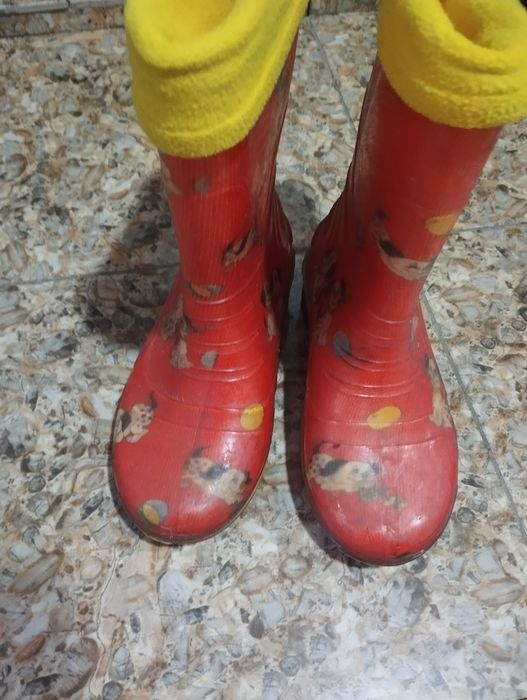 Резиновые сапоги