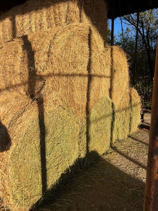 Vand baloti de lucerna