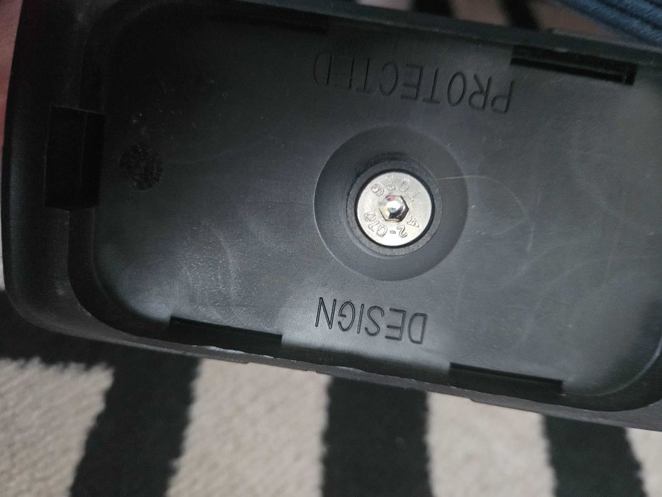 Scarite negre Compositi