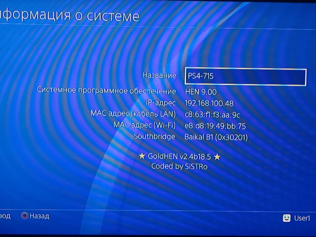 Playstation 4slim 2tb goldhen 9.00 versiya