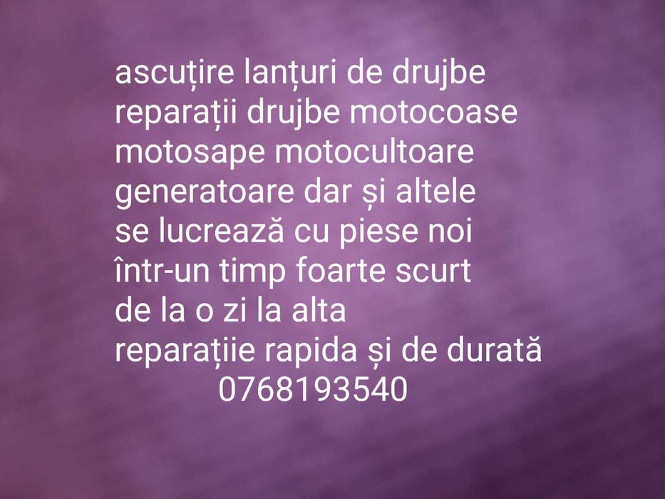 reparatii drujbe generatoare