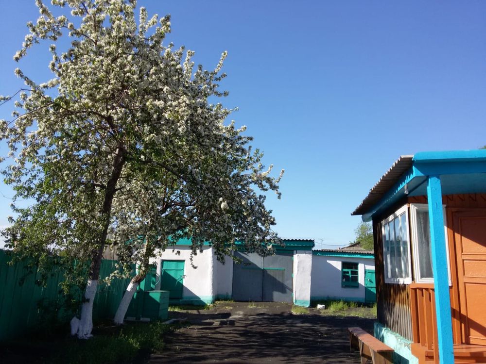 Продам дом в центре села Аулиеколь