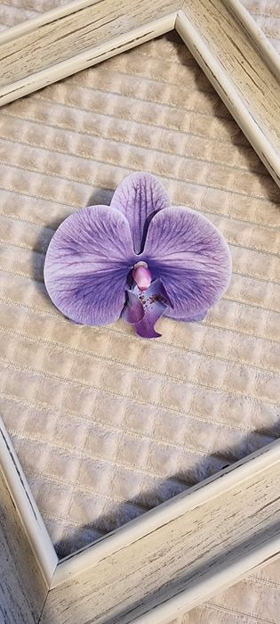 Accesoriu par mireasa