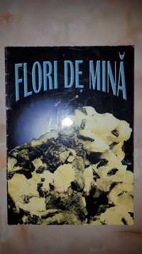 revista Flori De Mina