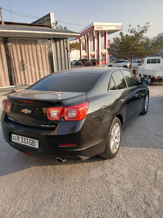 Arenda malibu 1 ful pazitsa pirapan