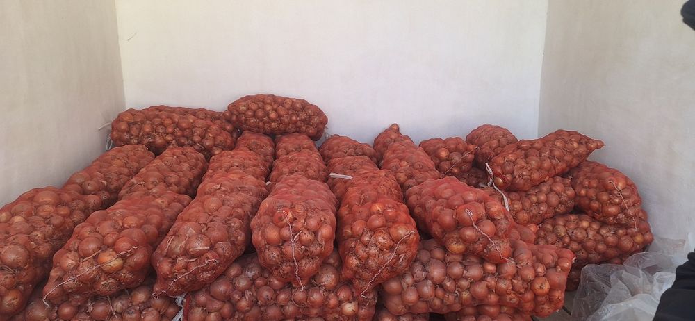 Optom piyoz sotiladi