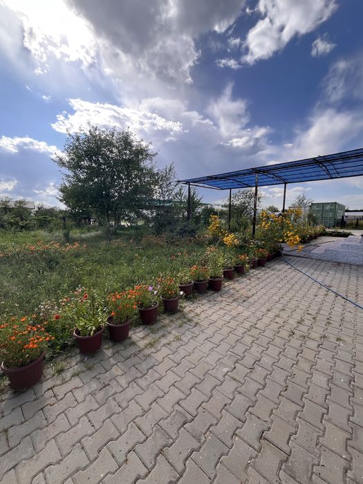 Продам Базу р Заречный-3/Лесхоз