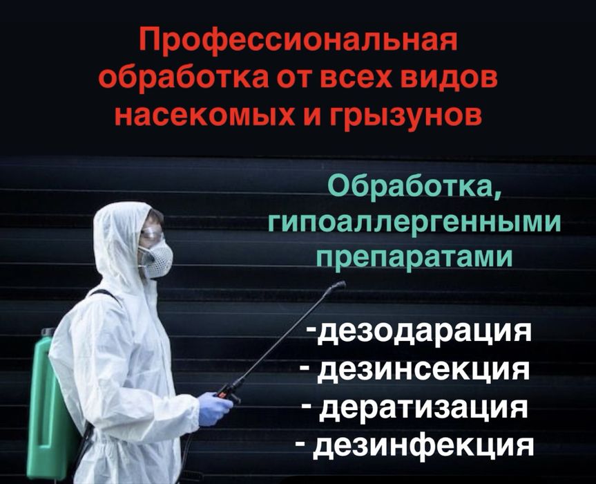 Уничтожение клопов, тараканов, крыс. Дезинфекция грызунов, мышей,крыс
