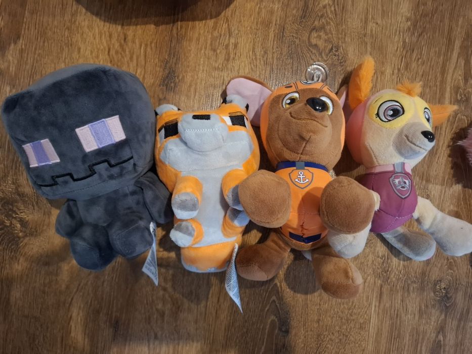 Vând lot plusuri profi si minecraft