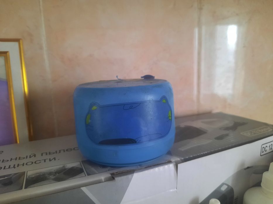 Продам алису колонка.