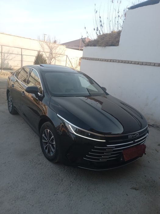 Bevaydi.chozor.gibrit 55.