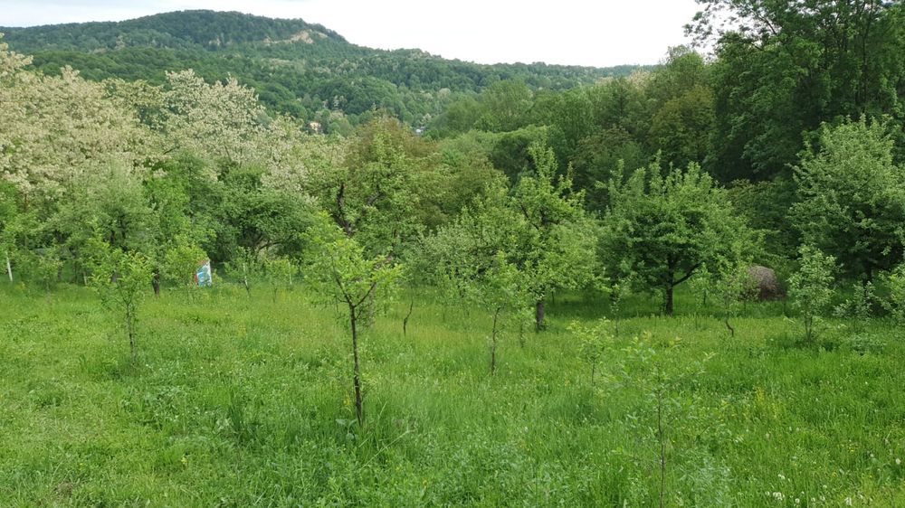 Teren Provita de Sus, Breaza