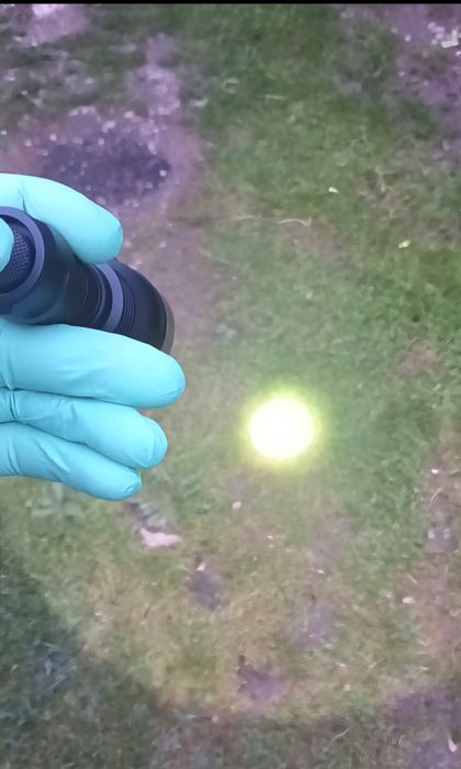 Lanterna Convoy C8 Osram Cslnm1.tg