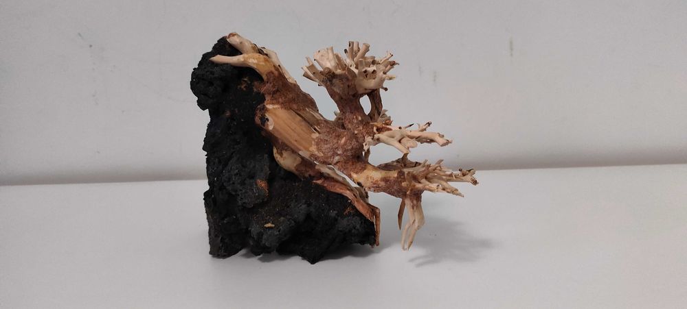 Bonsai decorativ pentru acvariu