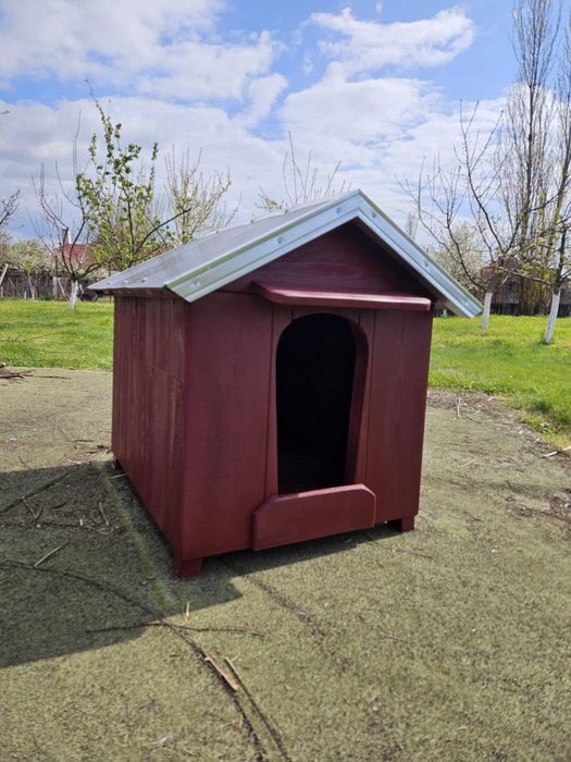 Cusca / casuta pentru caini