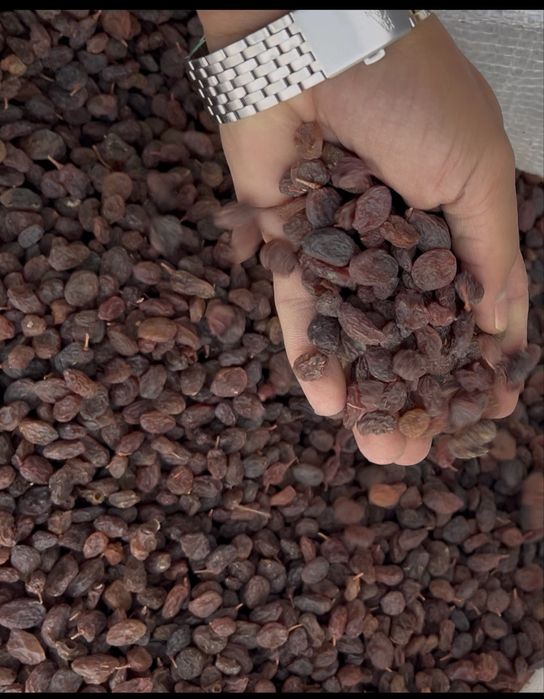 Osh mayiz tozza qoplangan