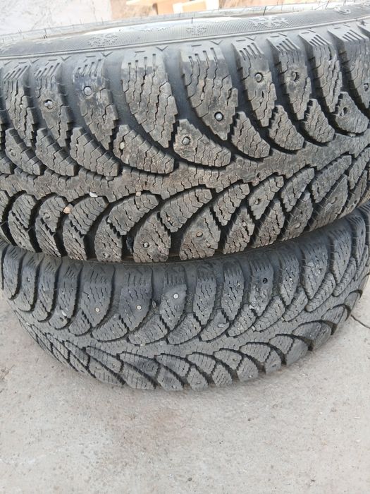 Р14 диск балон даиын кыска