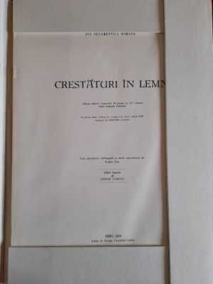 Crestaturi in lemn - Dimitrie Comsa, Album