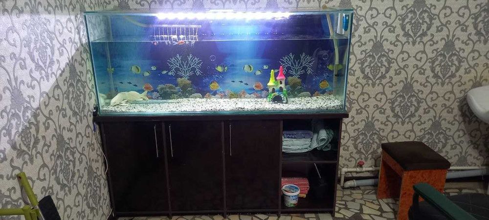 Akvarium kamplekt sotiladi