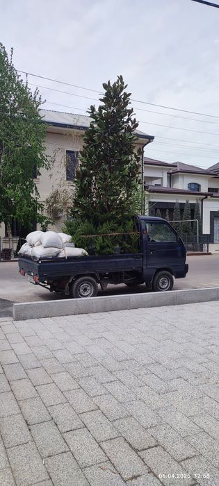 Labo 2024 1qo'l moshina