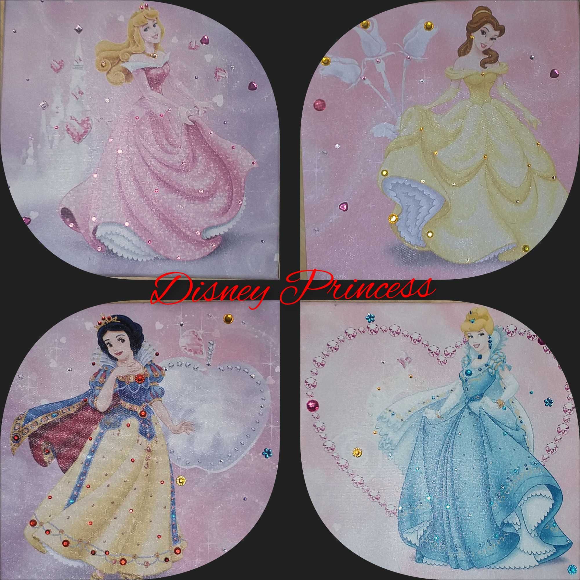 Tablouri Disney Princess