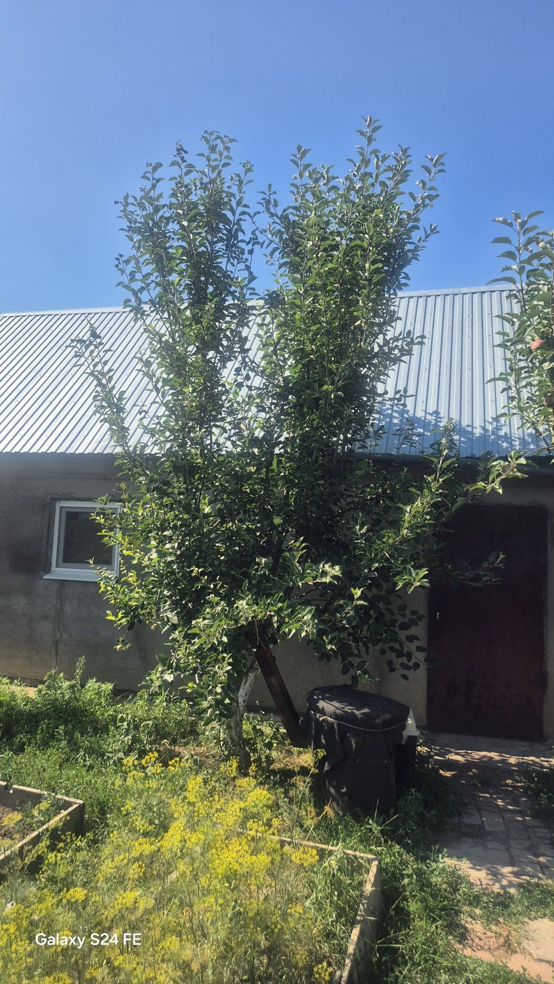 продается частный дом в районе схи