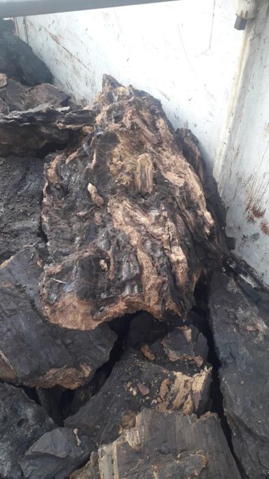 Carbune lignit pt centrale si sobe