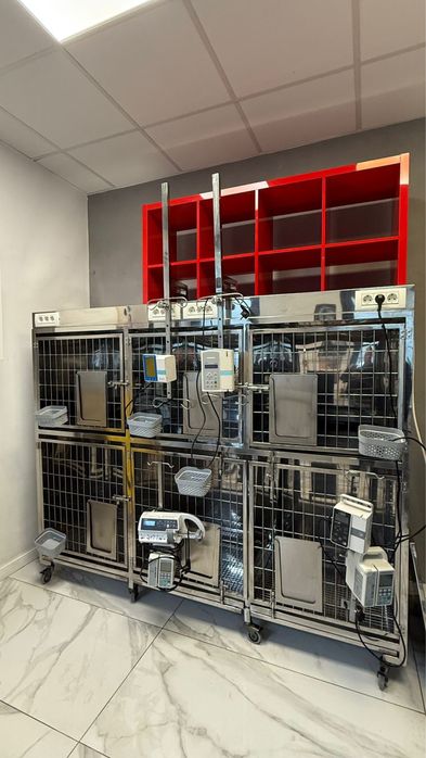 Baterie de cuști veterinare din inox