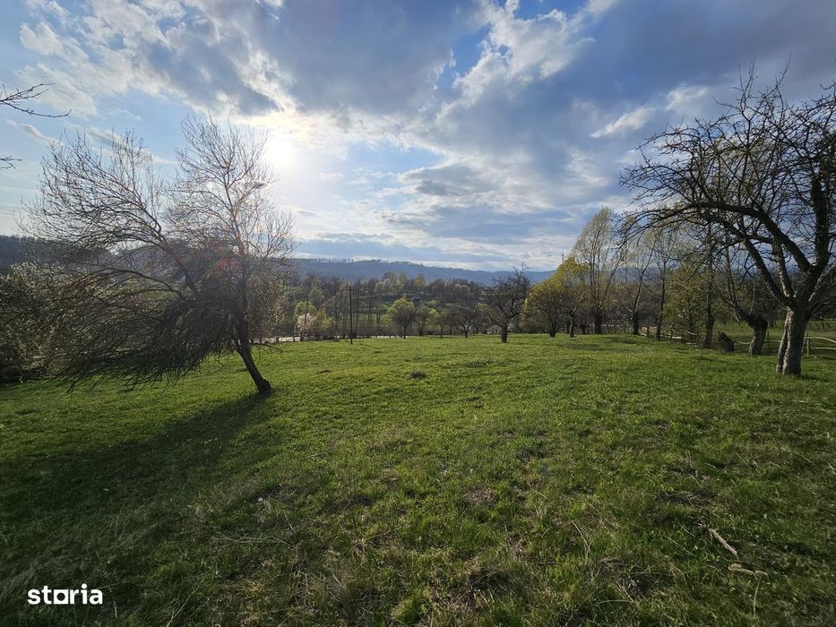 De vanzare Teren 5600 mp Albestii de Muscel - Pastravaria Bratioara