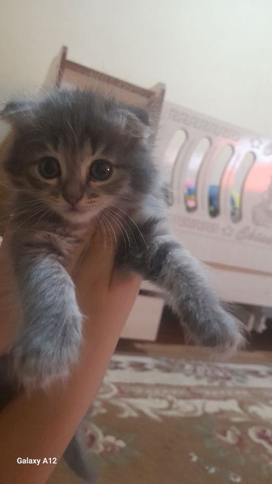 Вы придёте и посмотрите на него если не понравится не берите