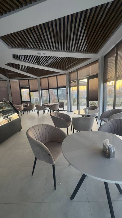 Caffe biznes srochna