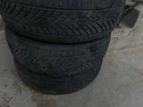 Rotalla shina B/U