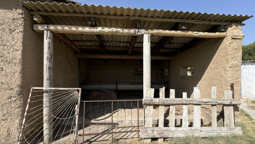 Продается дом шымкент