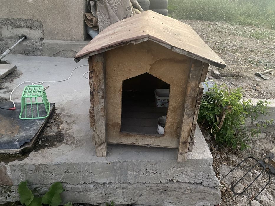 будка для сабаки