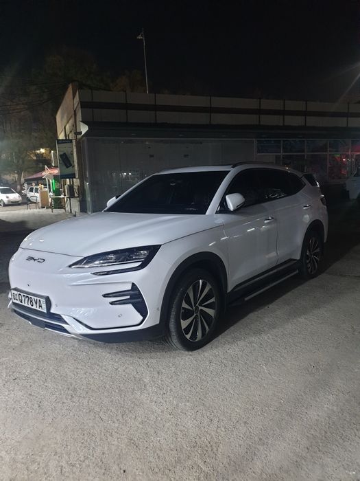 BVD chempion flekship