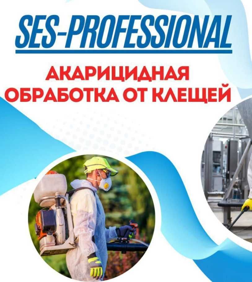 Дезинсекция Уничтожение тараканов клопов Обработка Dezinfeksiya