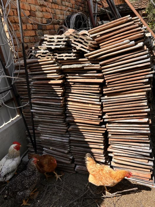 Vand tigla ceramica in jur la 4000 de bucati