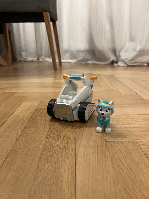 Madina Everest Paw Patrol