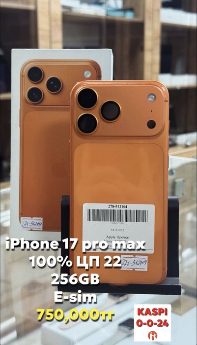 iPhone 17 pro max 256GB/100%