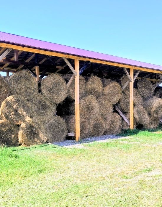 Baloți lucernă/fân 125/125 cm