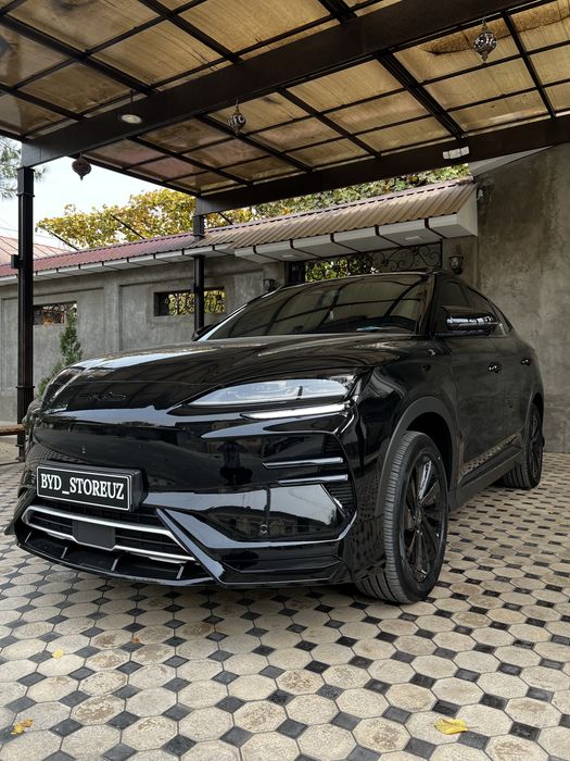 Обвес (бодикит) для BYD Champion (2023–2025)